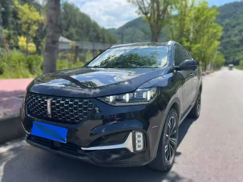 2021 WEY VV6 2.0T 227HP L4 7DCT