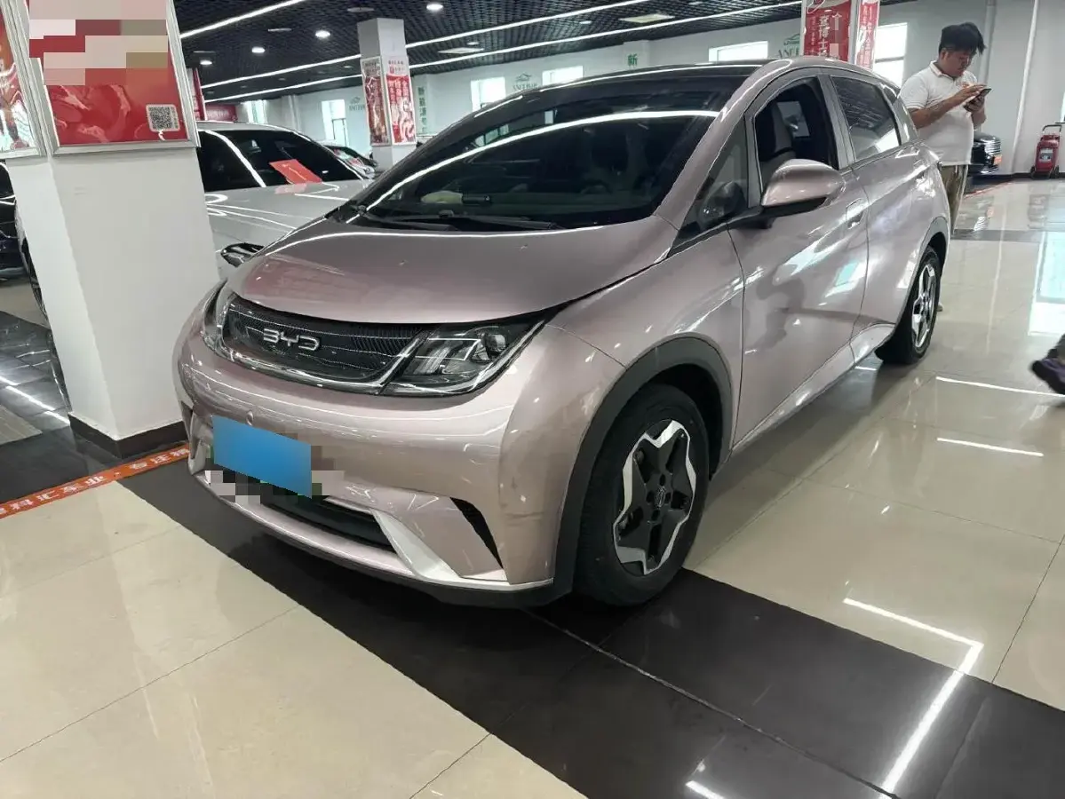 2021 BYD Dolphin BEV 44.9KWH