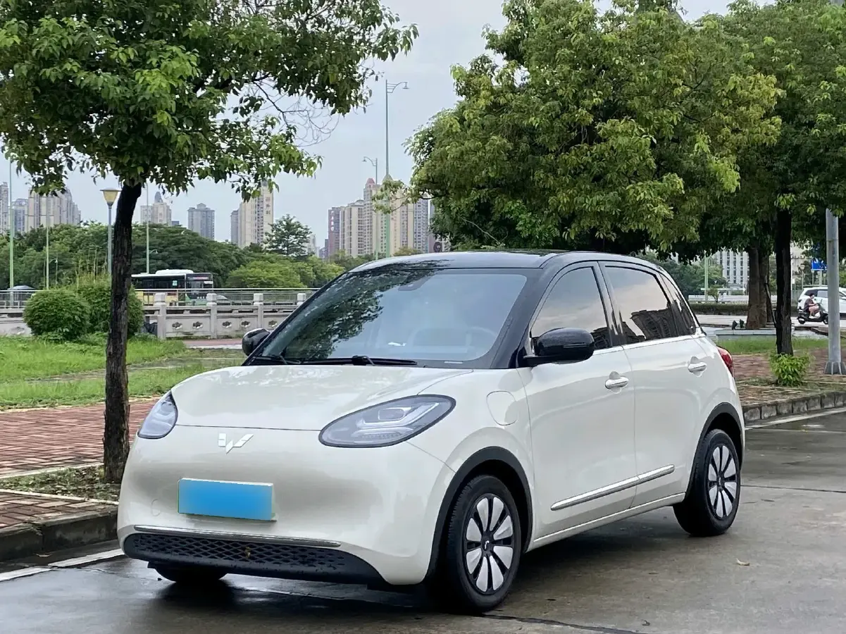 2023 WuLing BinGuo BEV 31.9KWH