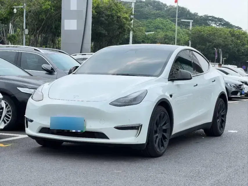 2021 Tesla Model Y BEV 76.8KWH