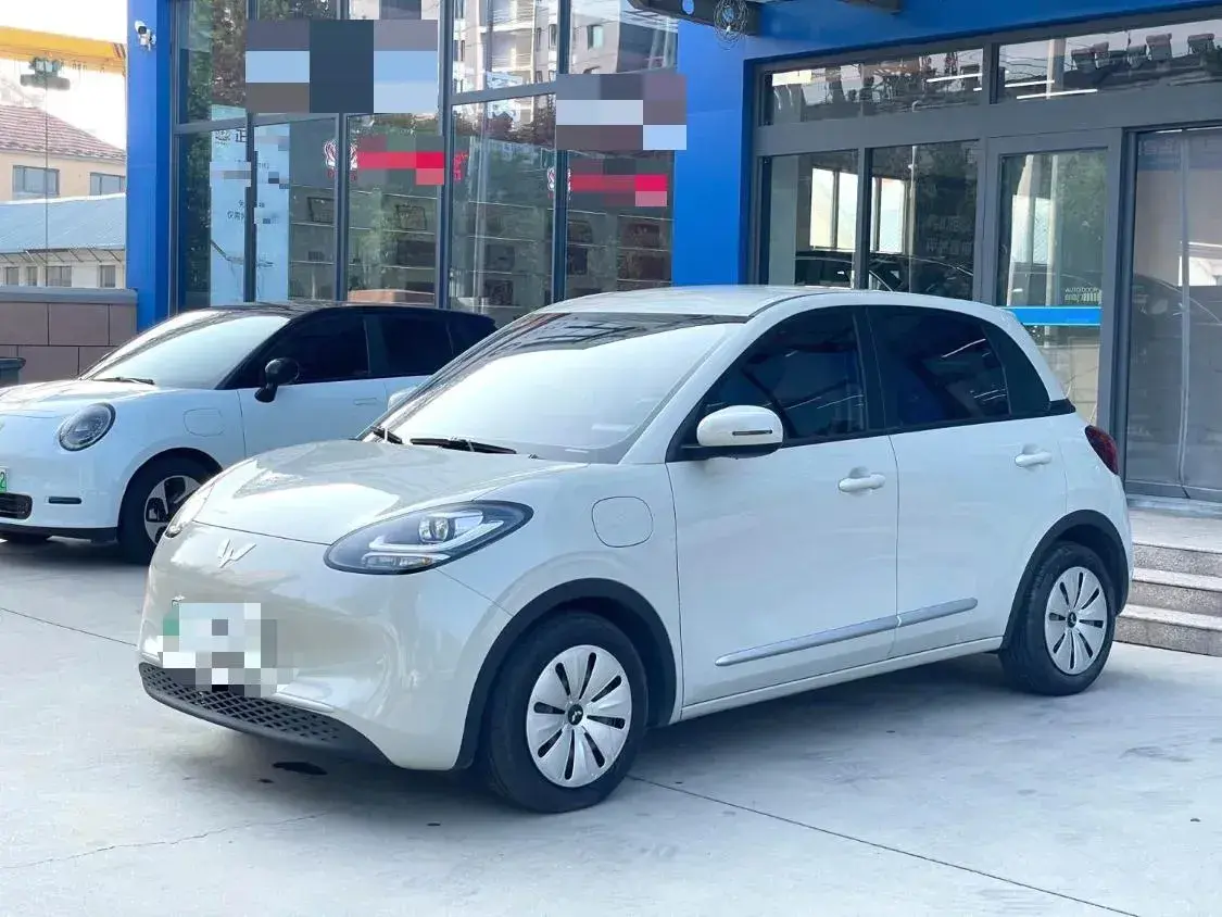 2023 WuLing BinGuo BEV 31.9KWH