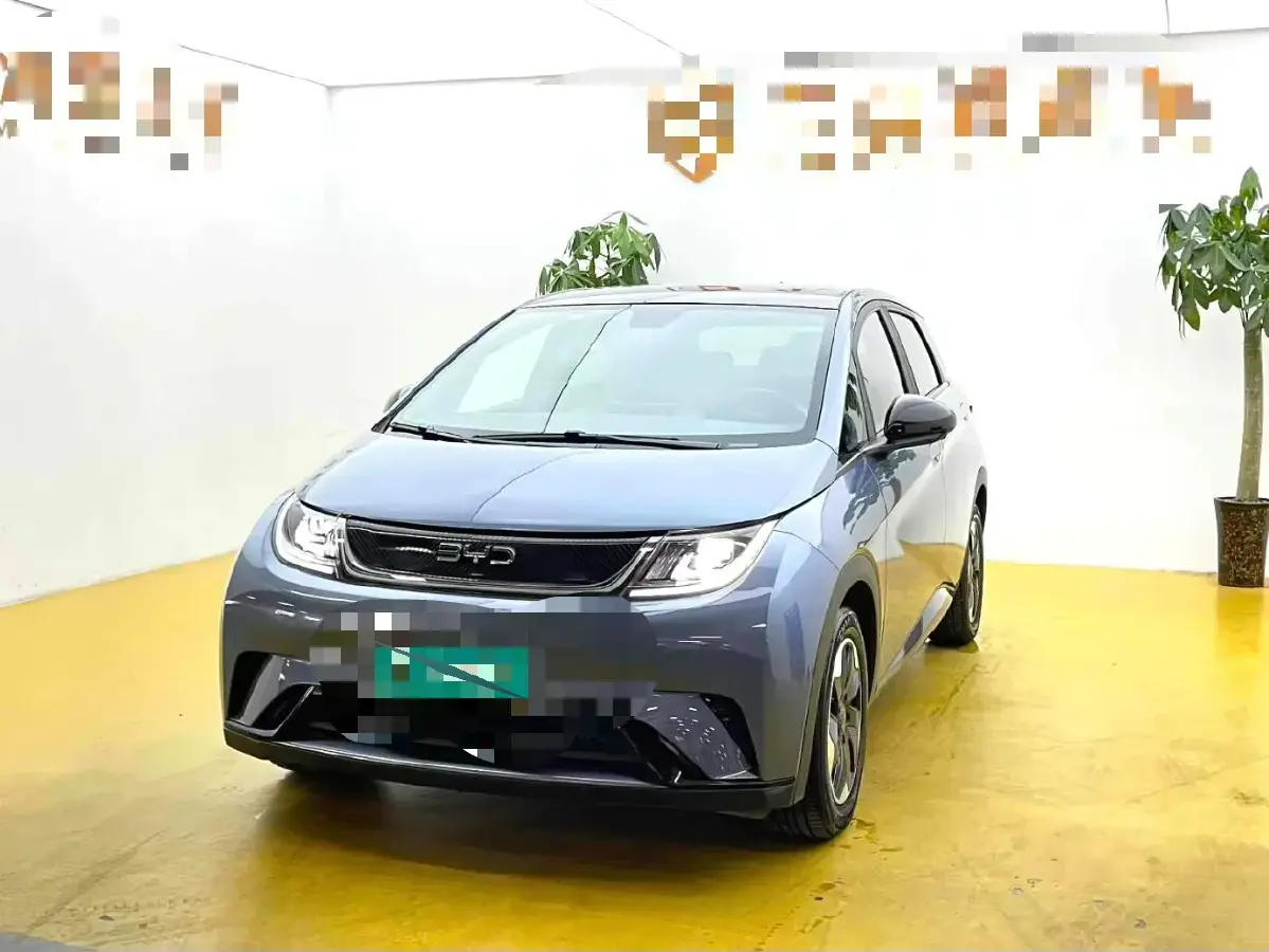 2025 BYD Dolphin BEV 44.928KWH