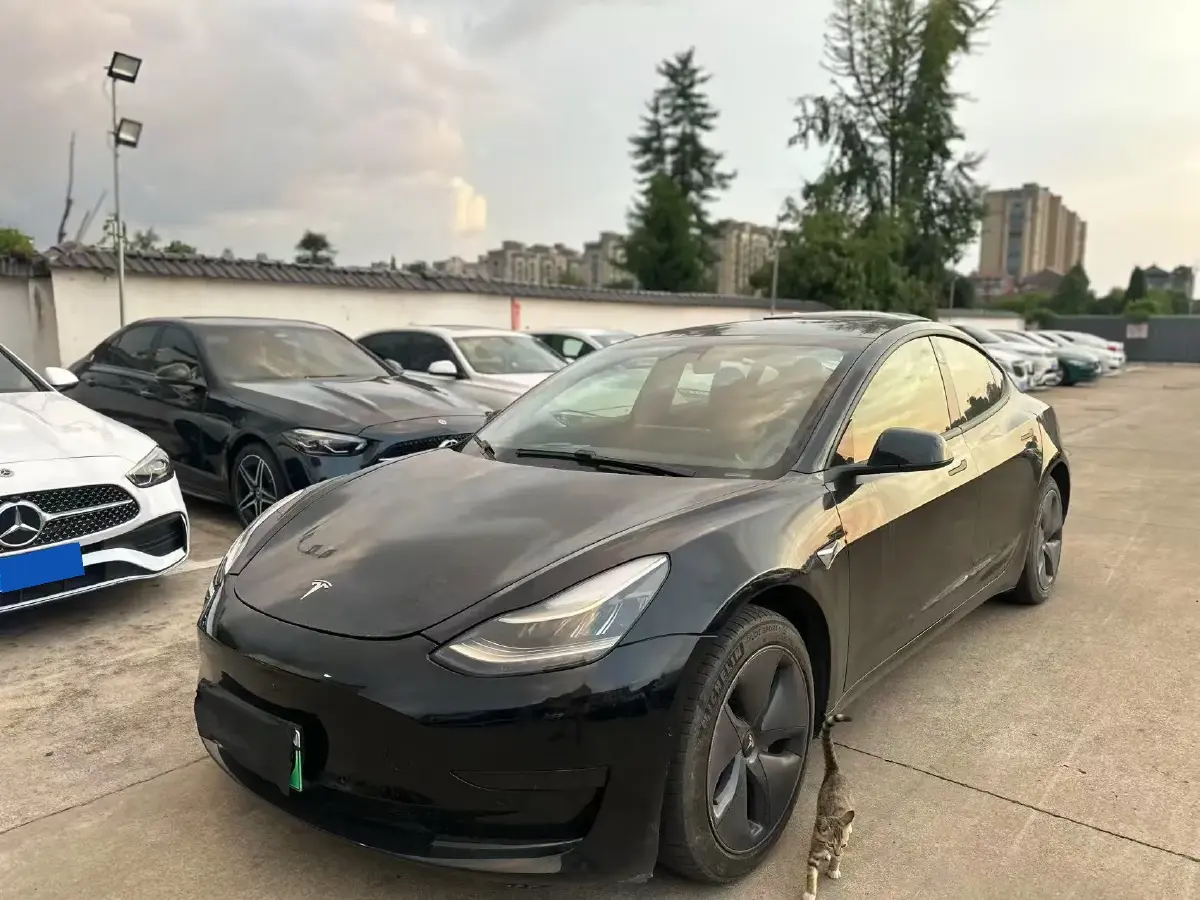 2020 Tesla Model 3 BEV 52KWH