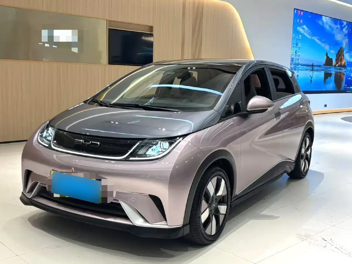 2021 BYD Dolphin BEV 44.9KWH