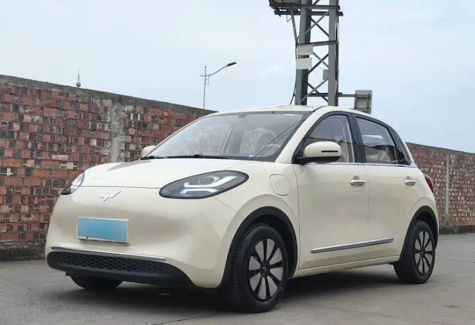2025 WuLing BinGuo BEV