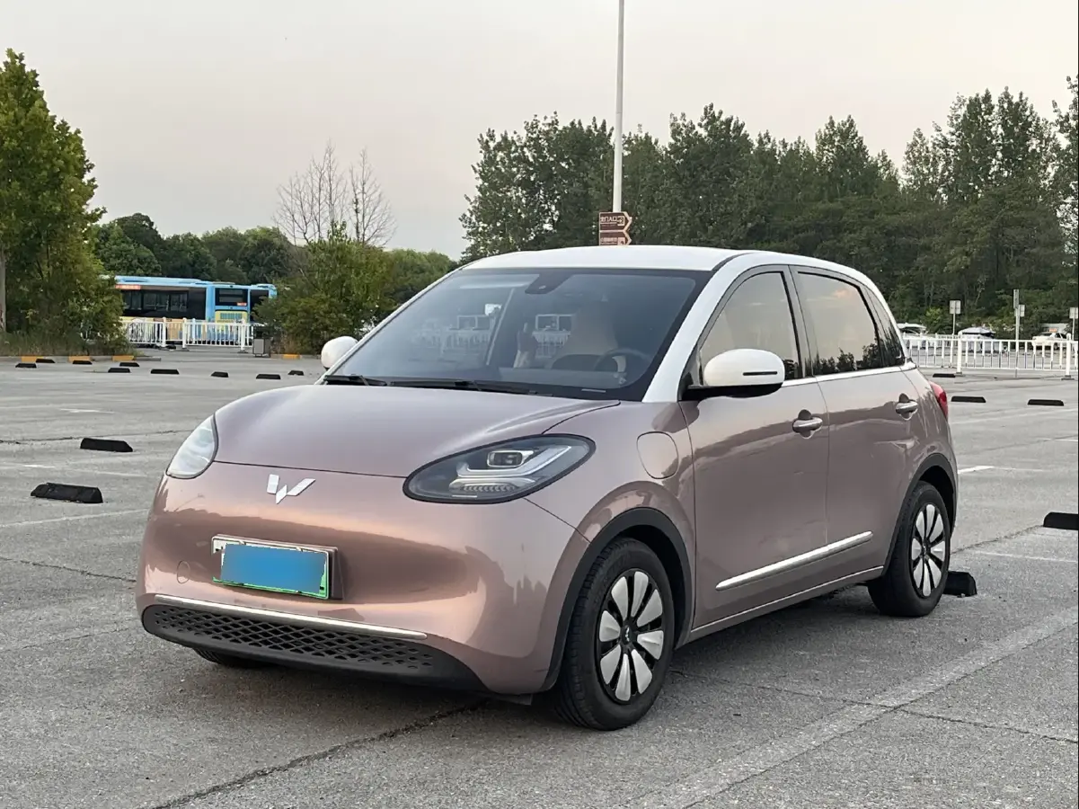2023 WuLing BinGuo BEV 31.9KWH