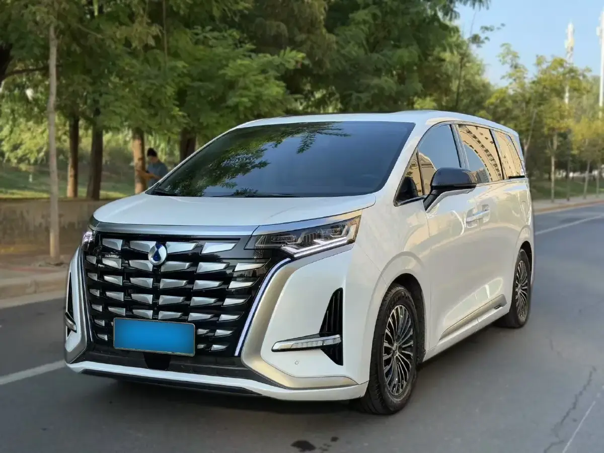 2022 Denza D9 1.5T 139HP L4 E-CVT PHEV 40.06KWH