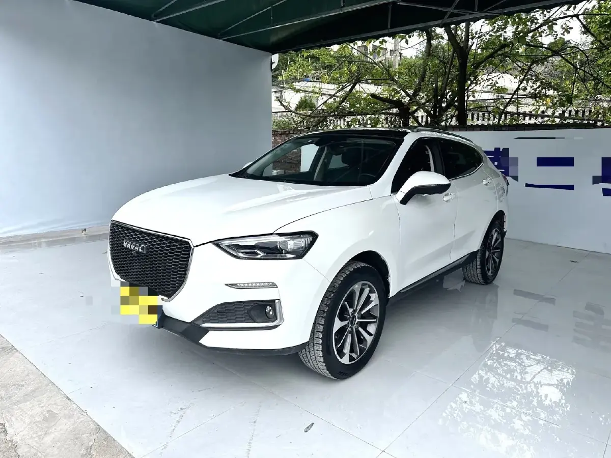 2019 Haval F5 1.5T 169HP L4 7DCT
