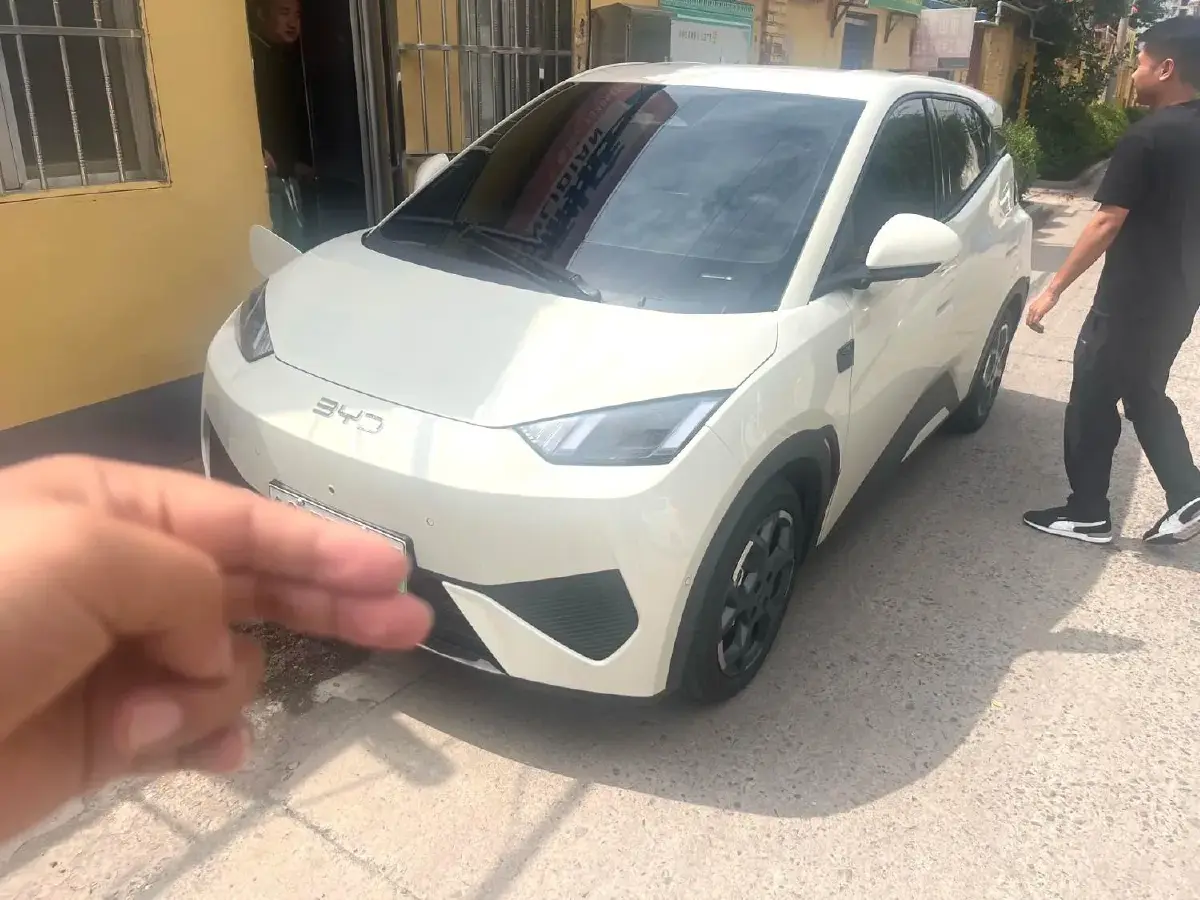 2025 BYD Seagull BEV 30.08KWH
