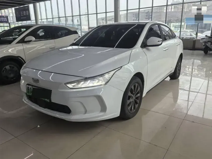 2019 Geometry A BEV 51.9KWH