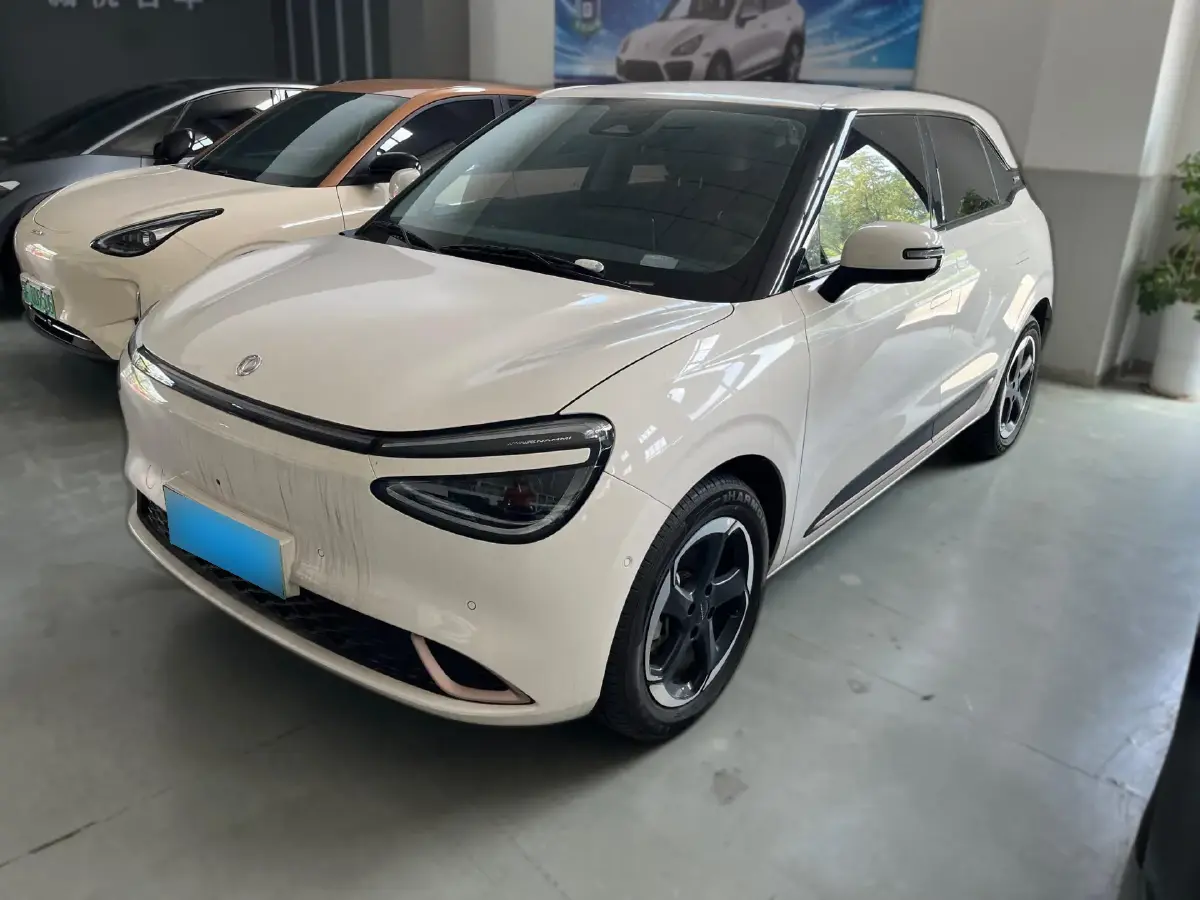 2024 DongFeng Nammi 01 BEV 42.3KWH