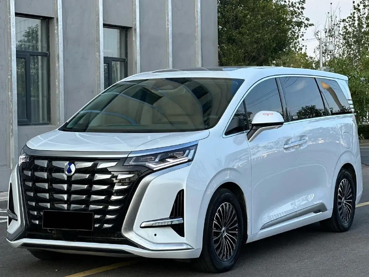 2023 Denza D9 1.5T 139HP L4 E-CVT PHEV 20.39KWH