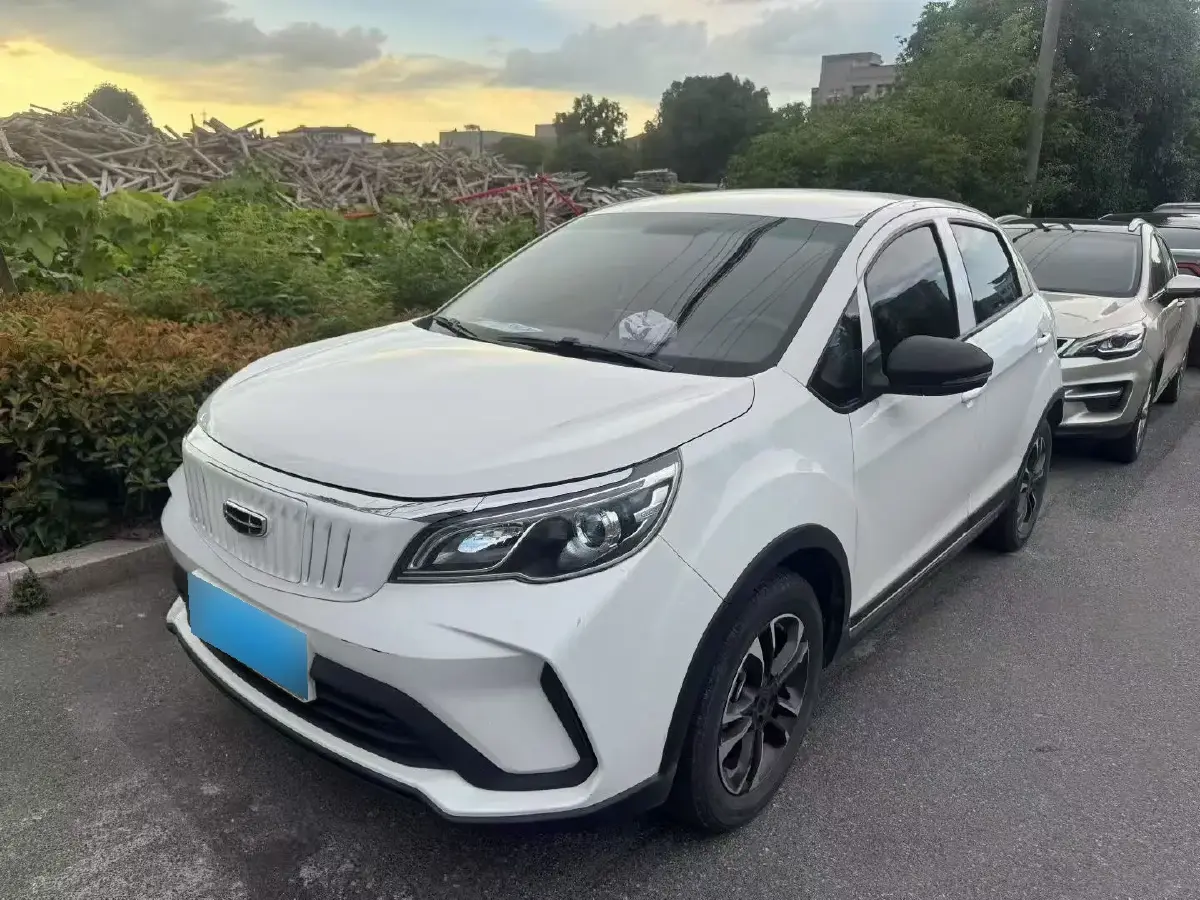 2021 Geometry EX3 BEV 37.23KWH