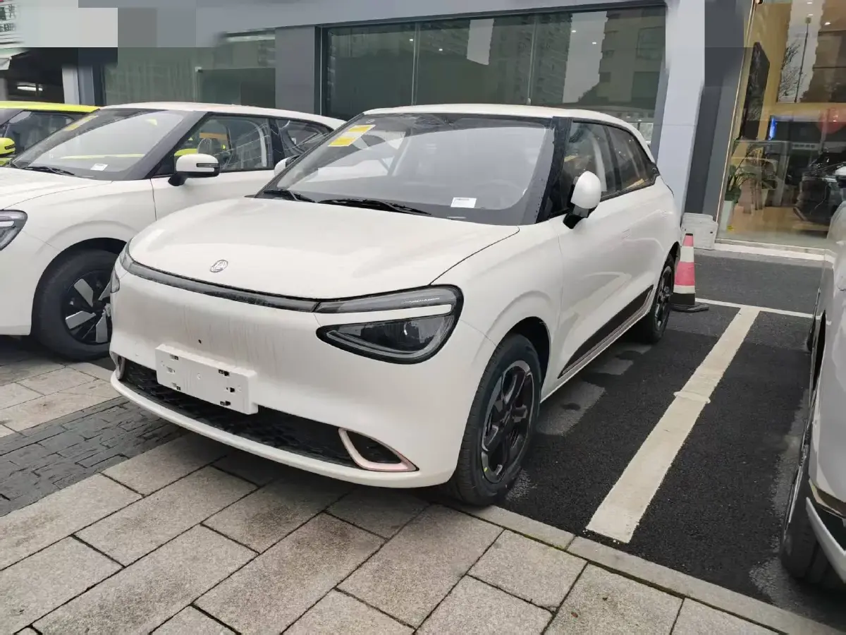 2024 DongFeng Nammi 01 BEV 42.3KWH