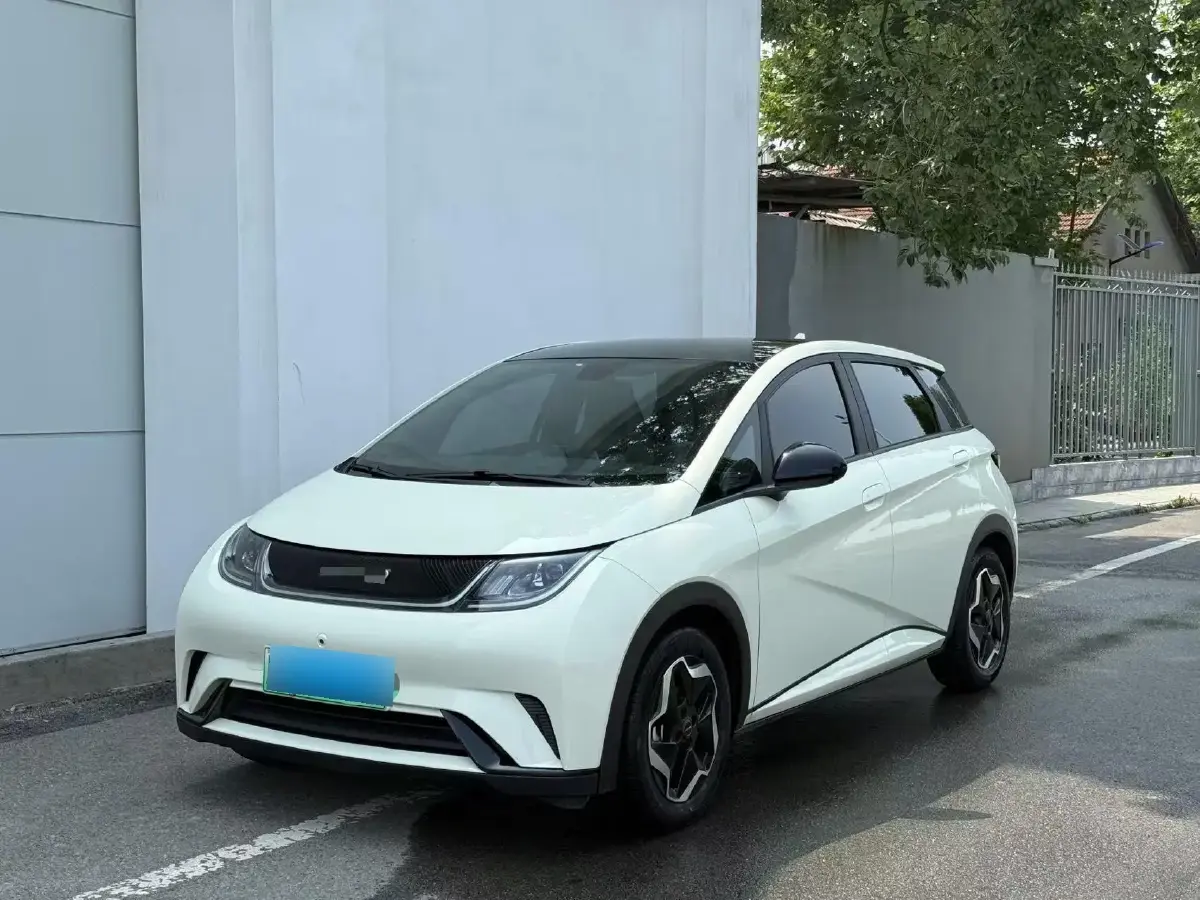 2021 BYD Dolphin BEV 44.9KWH