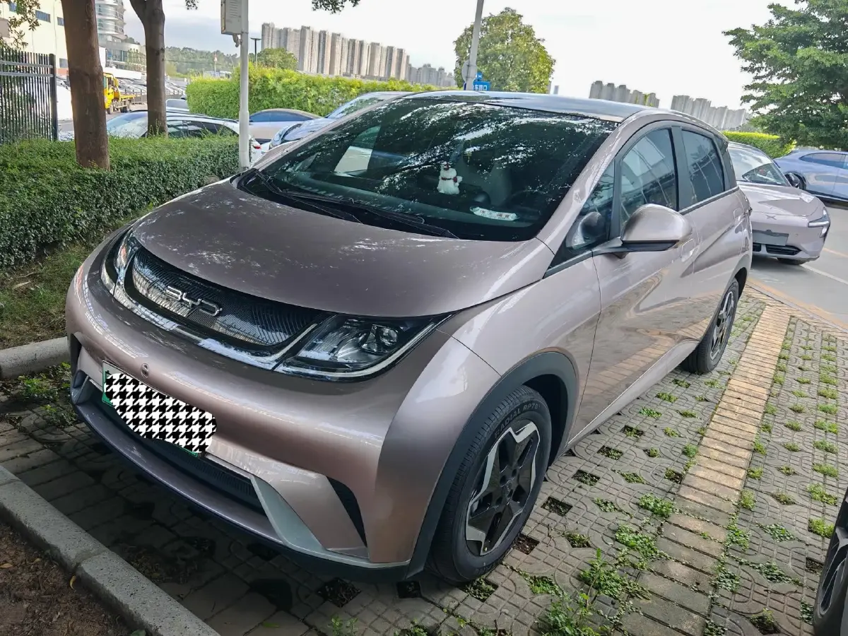 2021 BYD Dolphin BEV 44.9KWH
