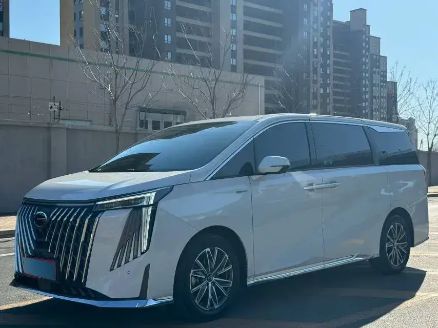 2024 GAC Trumpchi M8 2.0T 252HP L4 8AT