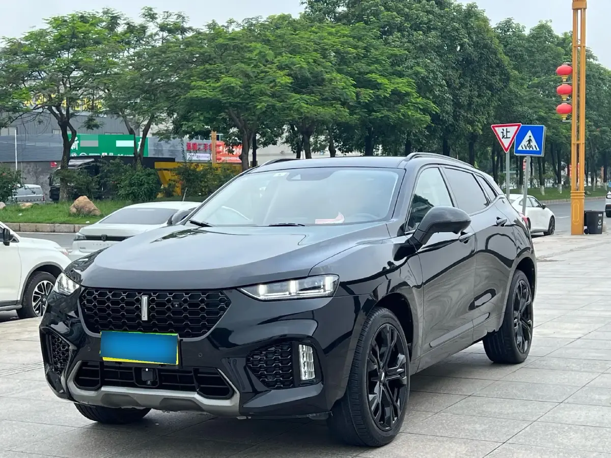 2019 WEY VV7 2.0T 227HP L4 7DCT