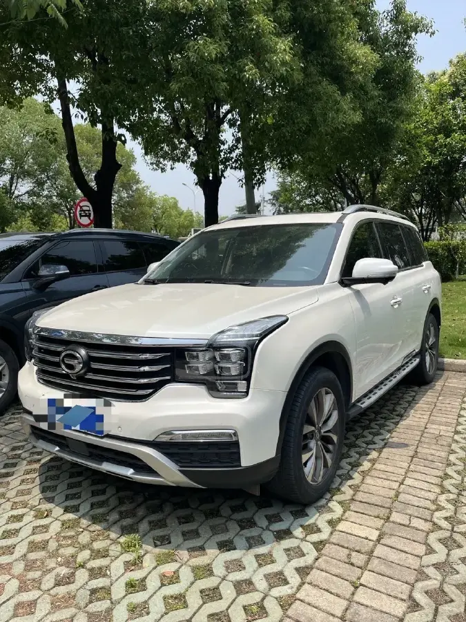 2017 GAC Trumpchi GS8 2.0T 201HP L4 6AT