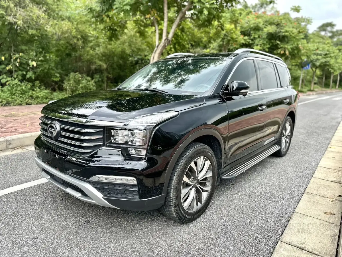 2019 GAC Trumpchi GS8 2.0T 252HP L4 6AT