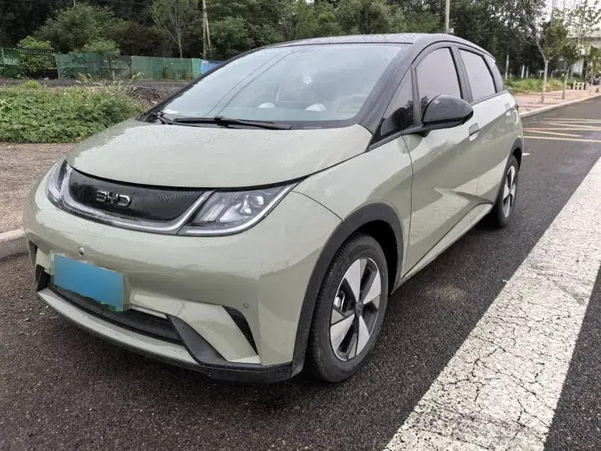 2023 BYD Dolphin BEV 44.928KWH