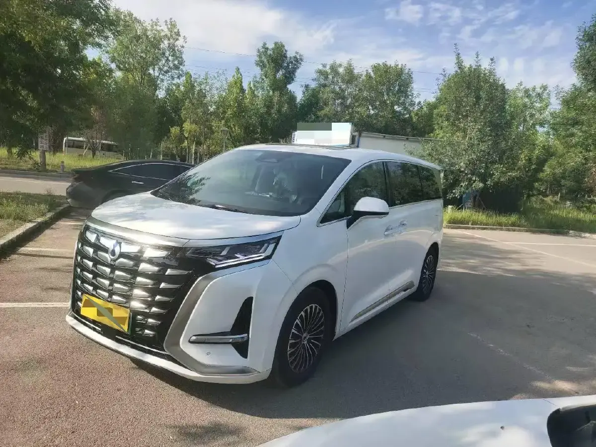 2022 Denza D9 1.5T 139HP L4 E-CVT PHEV 40.06KWH
