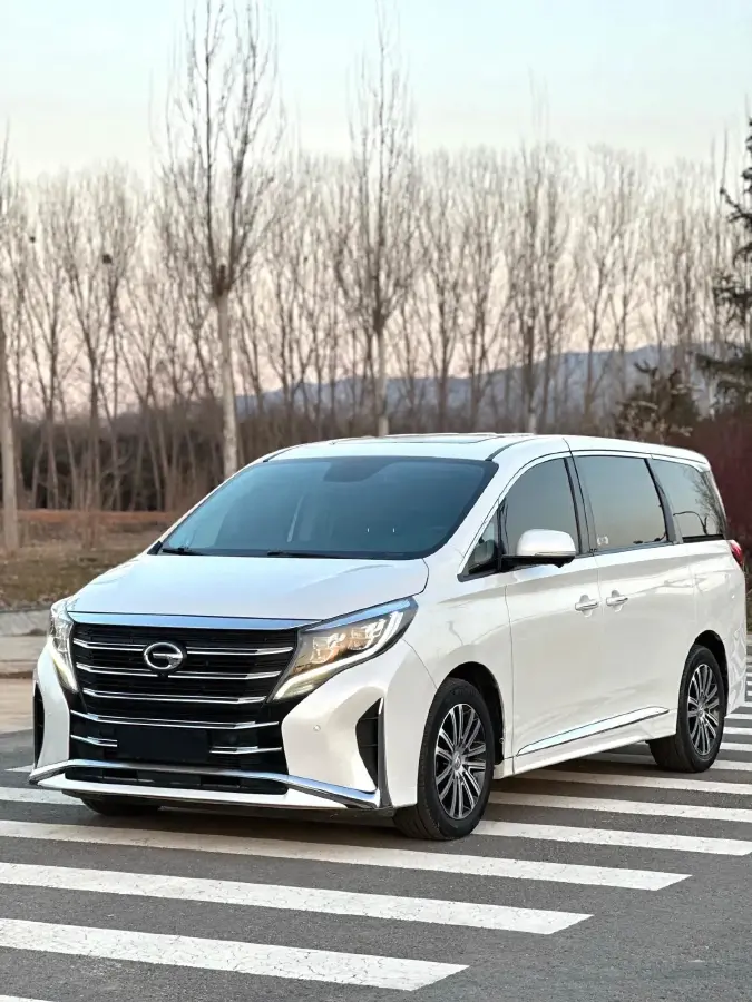 2021 GAC Trumpchi M8 2.0T 252HP L4 8AT