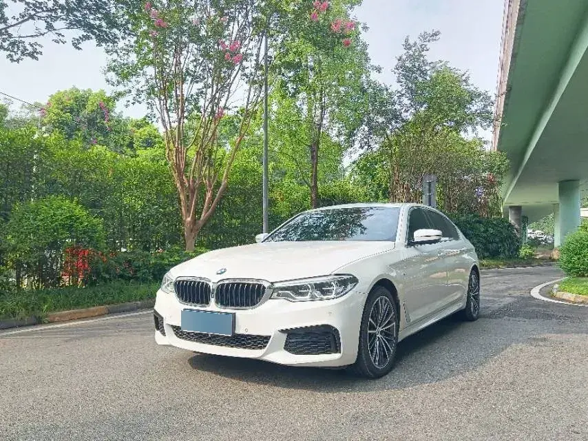 2020 BMW 5 Series 2.0T 252HP L4 8AT