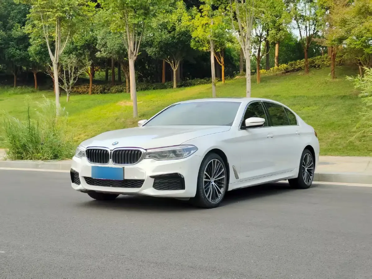 2020 BMW 5 Series 2.0T 252HP L4 8AT