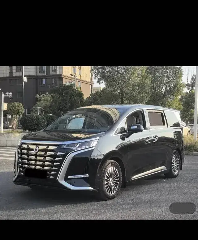 2022 Denza D9 1.5T 139HP L4 E-CVT PHEV 40.06KWH