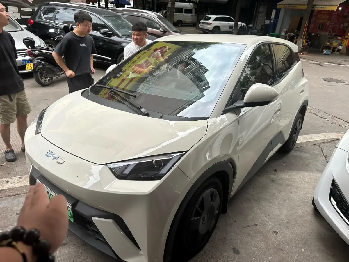 2024 BYD Seagull BEV 30.08KWH