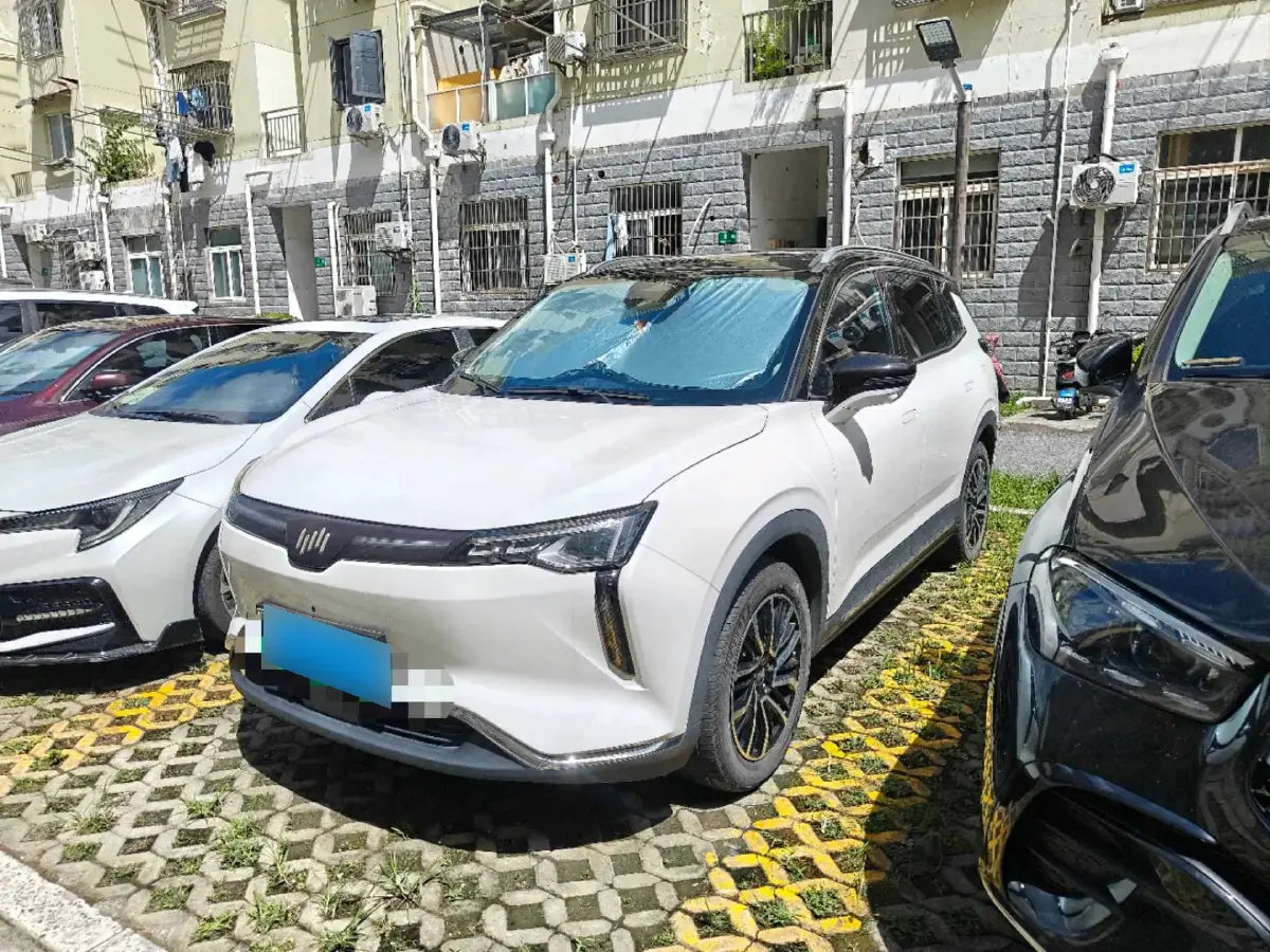 2021 Weltmeister W6 BEV 66.231KWH