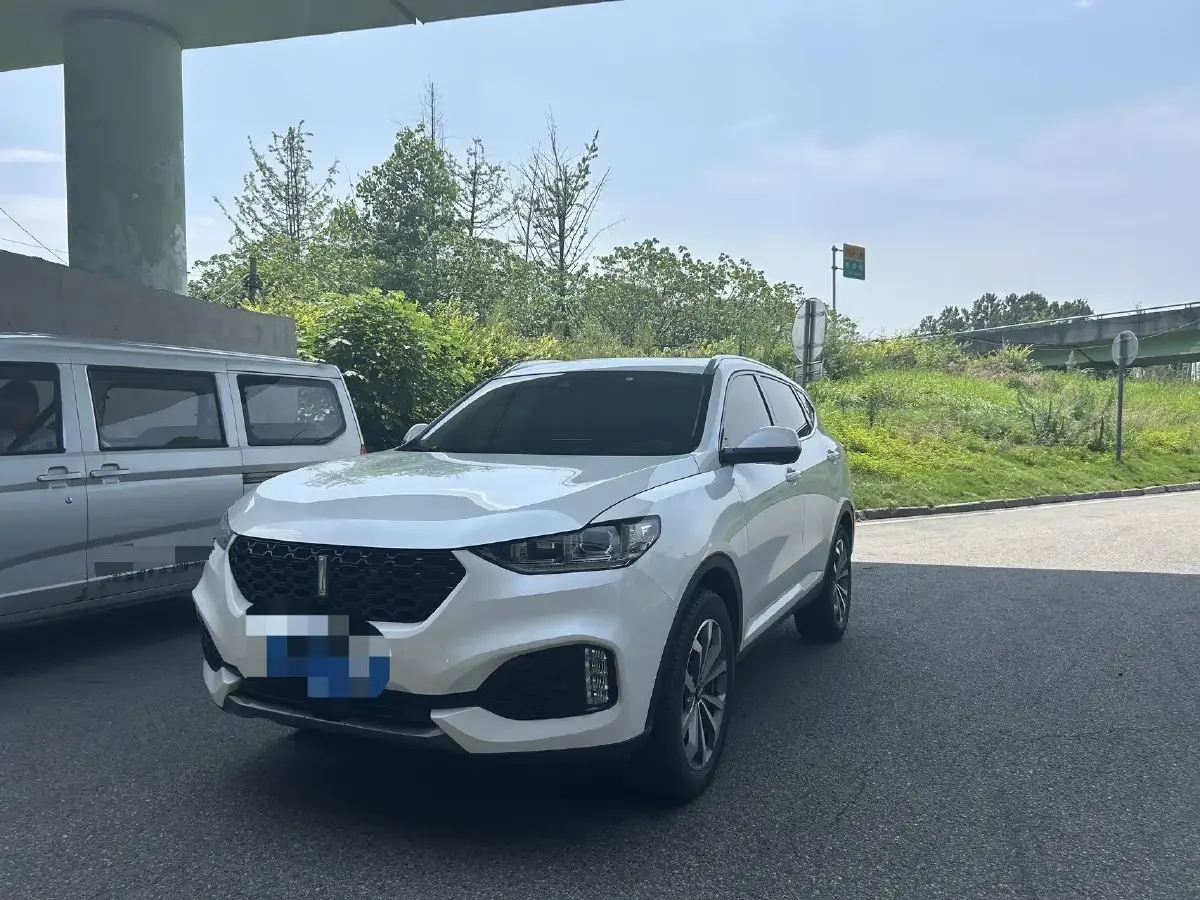 2018 WEY VV6 2.0T 197HP L4 7DCT