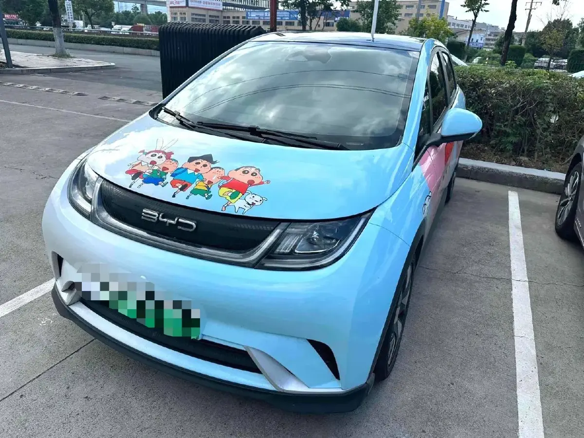 2021 BYD Dolphin BEV 44.9KWH