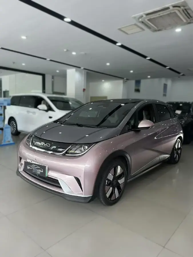 2025 BYD Dolphin BEV 60.48KWH