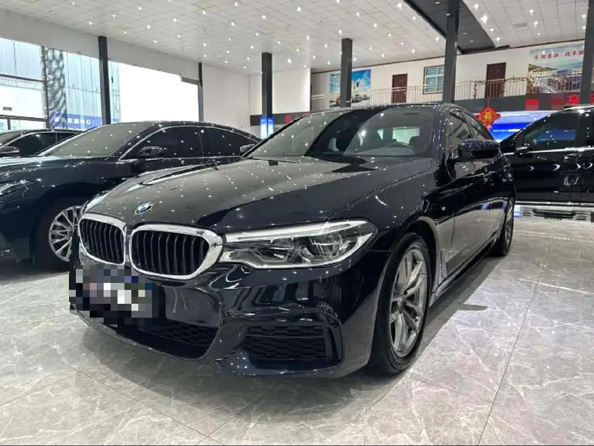 2020 BMW 5 Series 2.0T 184HP L4 8AT 2020 BMW 5 Series 2.0T 184HP L4 8AT