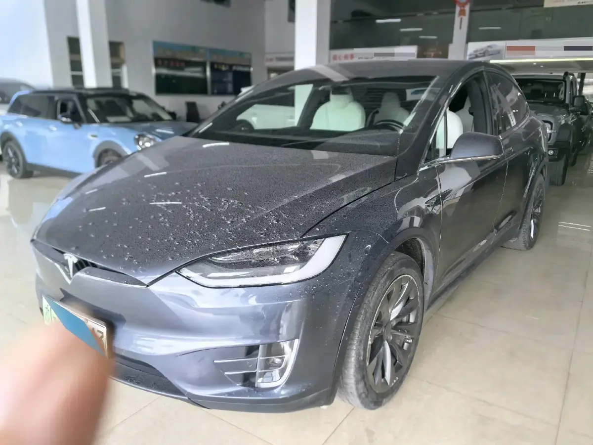 2019 Tesla Model X BEV 100KWH