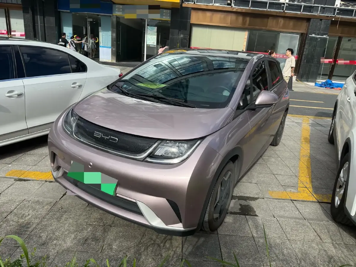 2021 BYD Dolphin BEV 44.9KWH