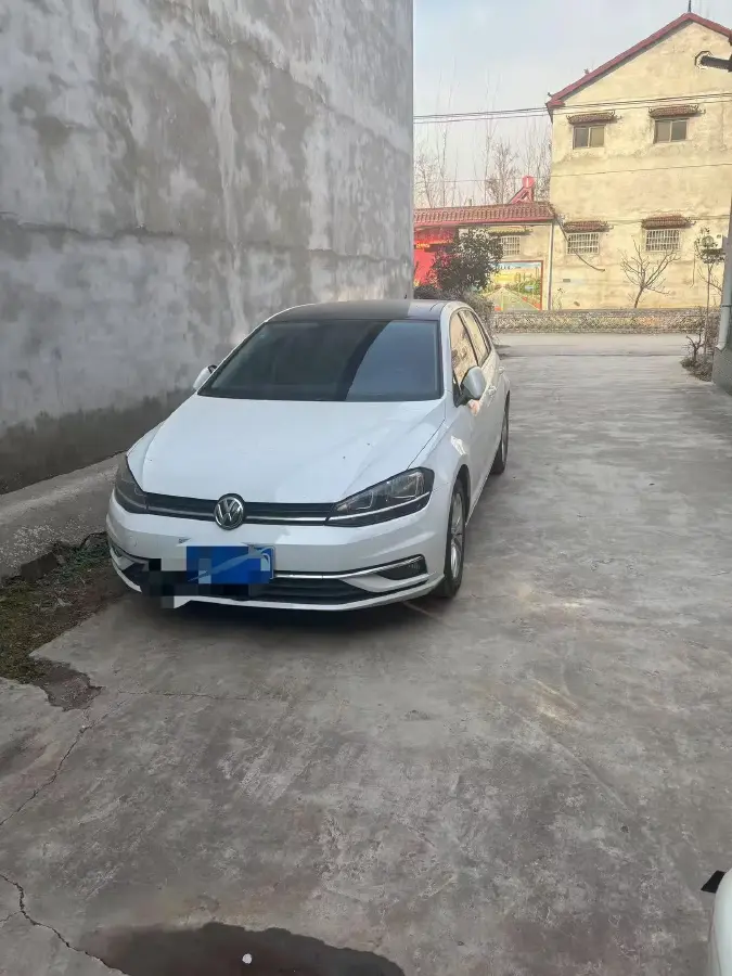 2019 Volkswagen Golf 1.6L 110HP L4 6AT