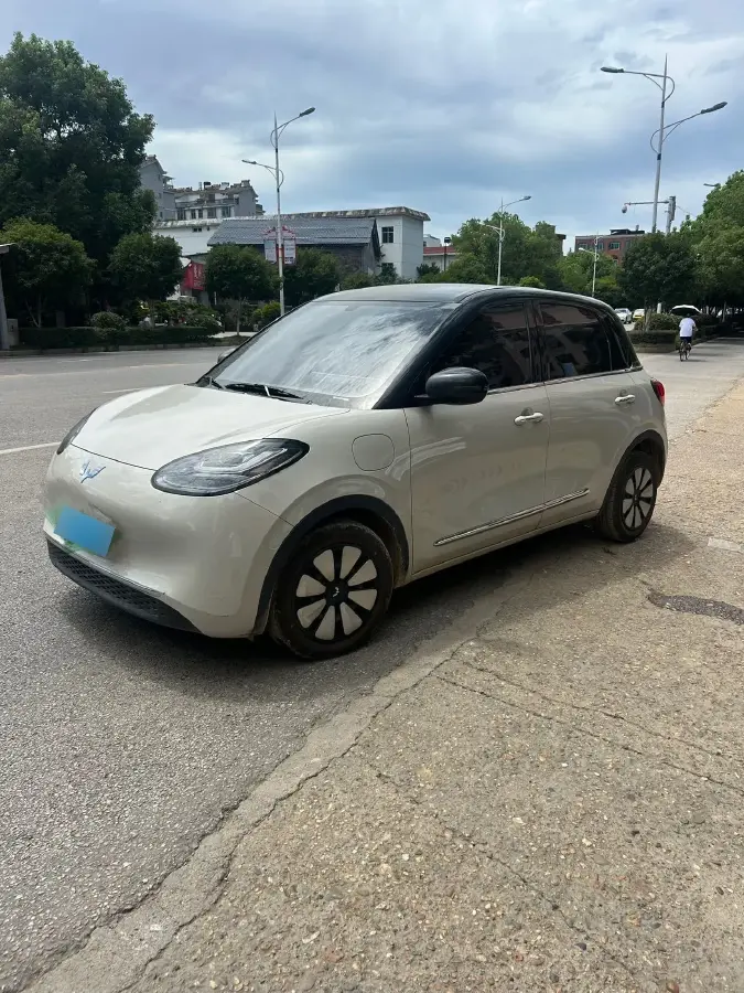 2023 WuLing BinGuo BEV 31.9KWH
