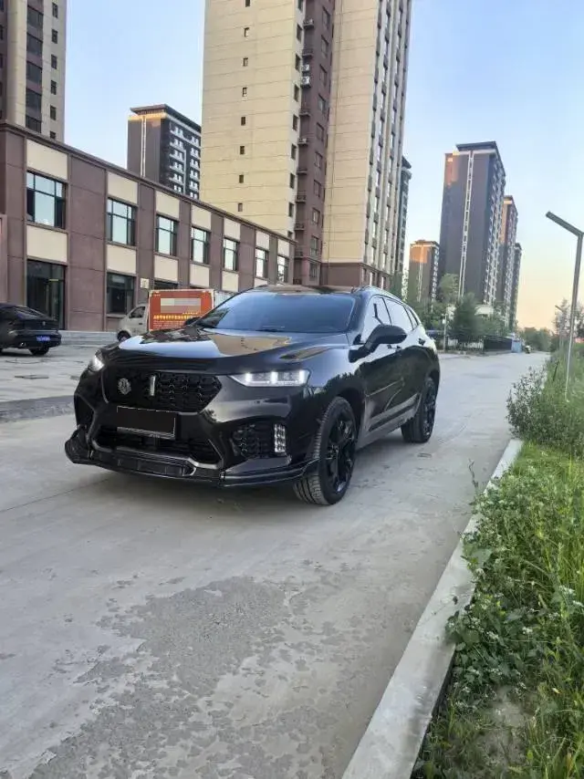 2017 WEY VV5 2.0T 197HP L4 7DCT