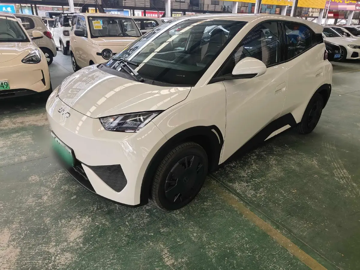 2025 BYD Seagull BEV 30.08KWH