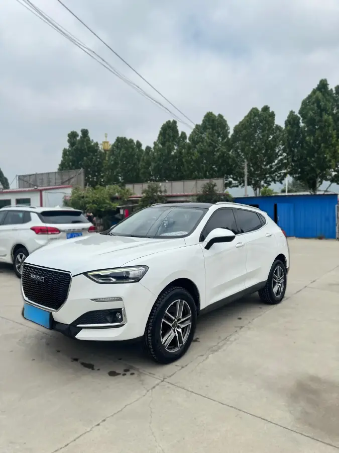 2020 Haval F5 1.5T 169HP L4 7DCT