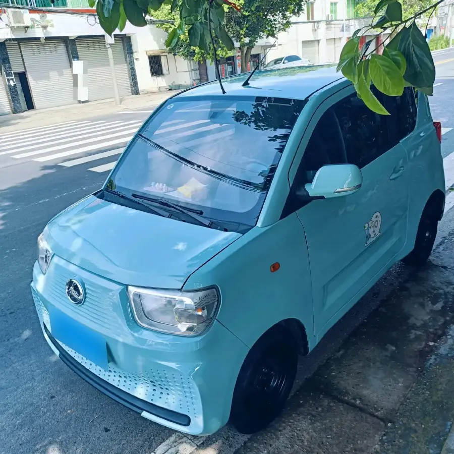 2023 BAW YuanBao BEV 9.6KWH