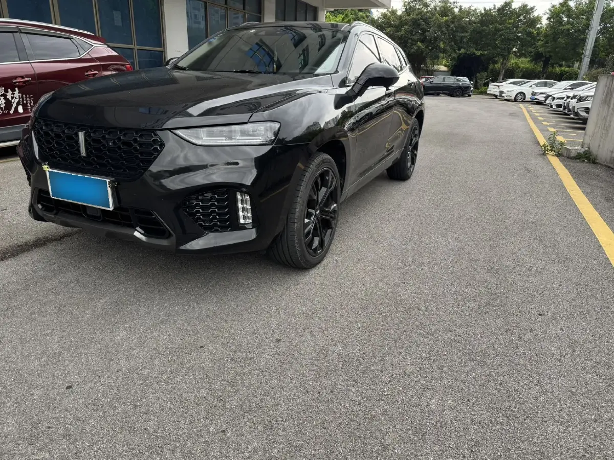 2019 WEY VV7 2.0T 227HP L4 7DCT