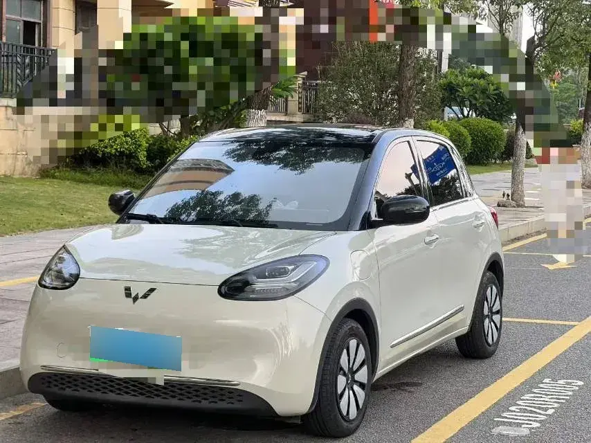 2023 WuLing BinGuo BEV 31.9KWH