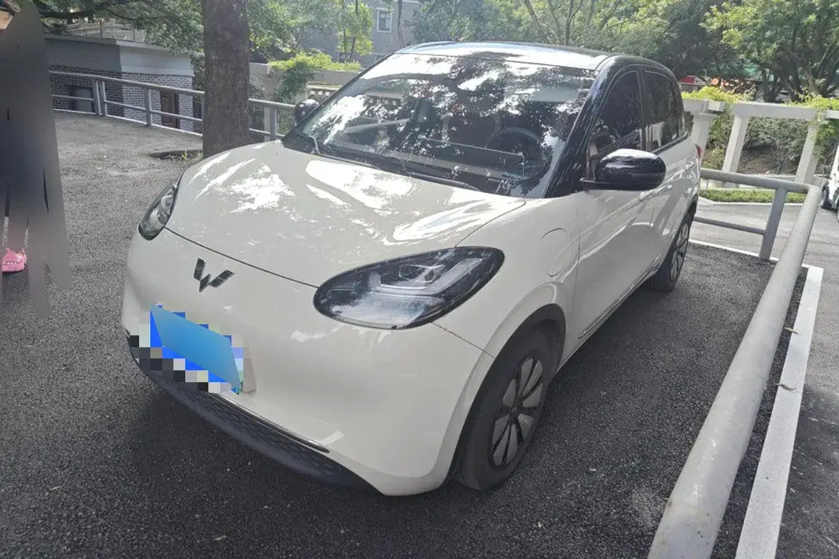 2023 WuLing BinGuo BEV 31.9KWH