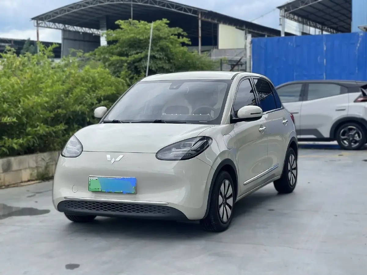 2023 WuLing BinGuo BEV 31.9KWH