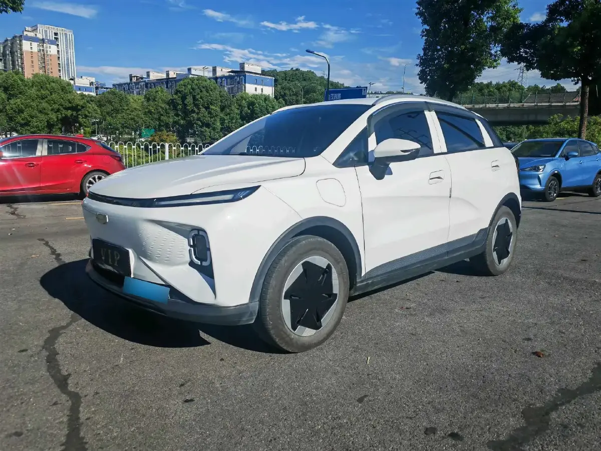 2024 Geometry E BEV 29.67KWH