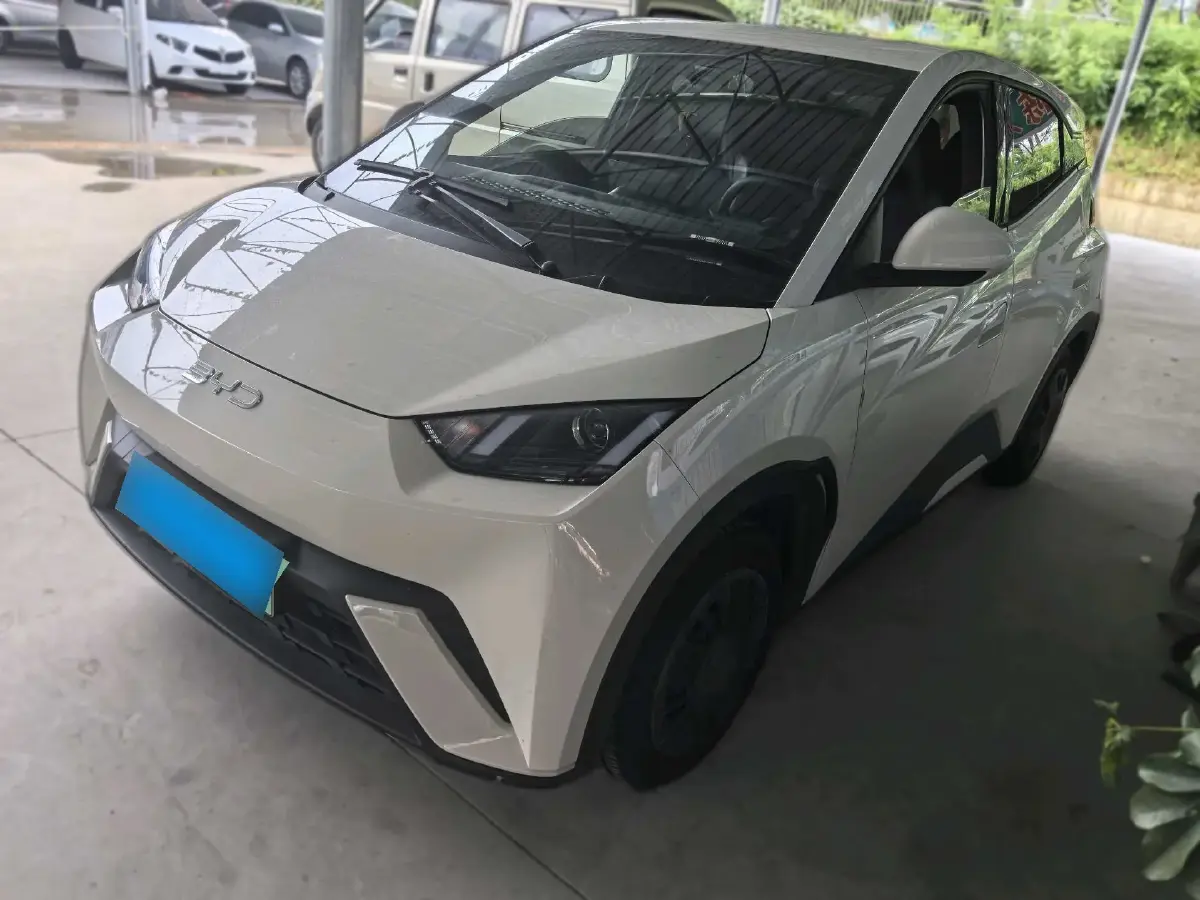 2024 BYD Seagull BEV 30.08KWH